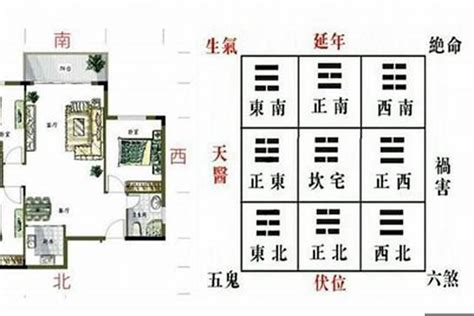 青龙位放鞋柜|图一、风水学青龙位的风水禁忌，你知道吗？